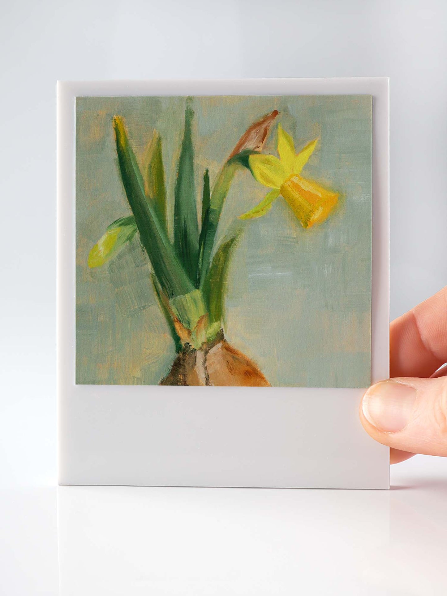 Daffodil Miniature Print