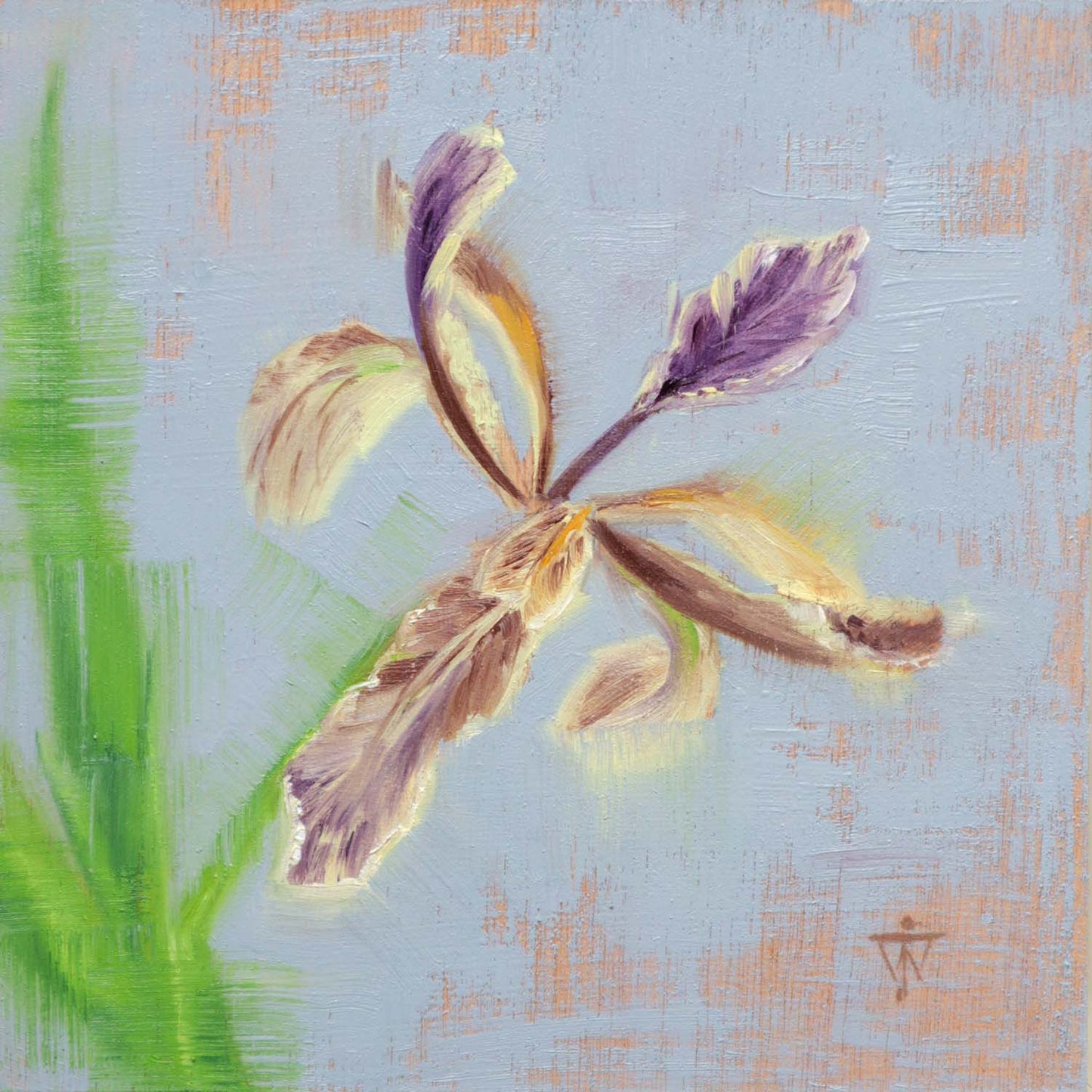 Iris Blooms and Memories | Flower Painting