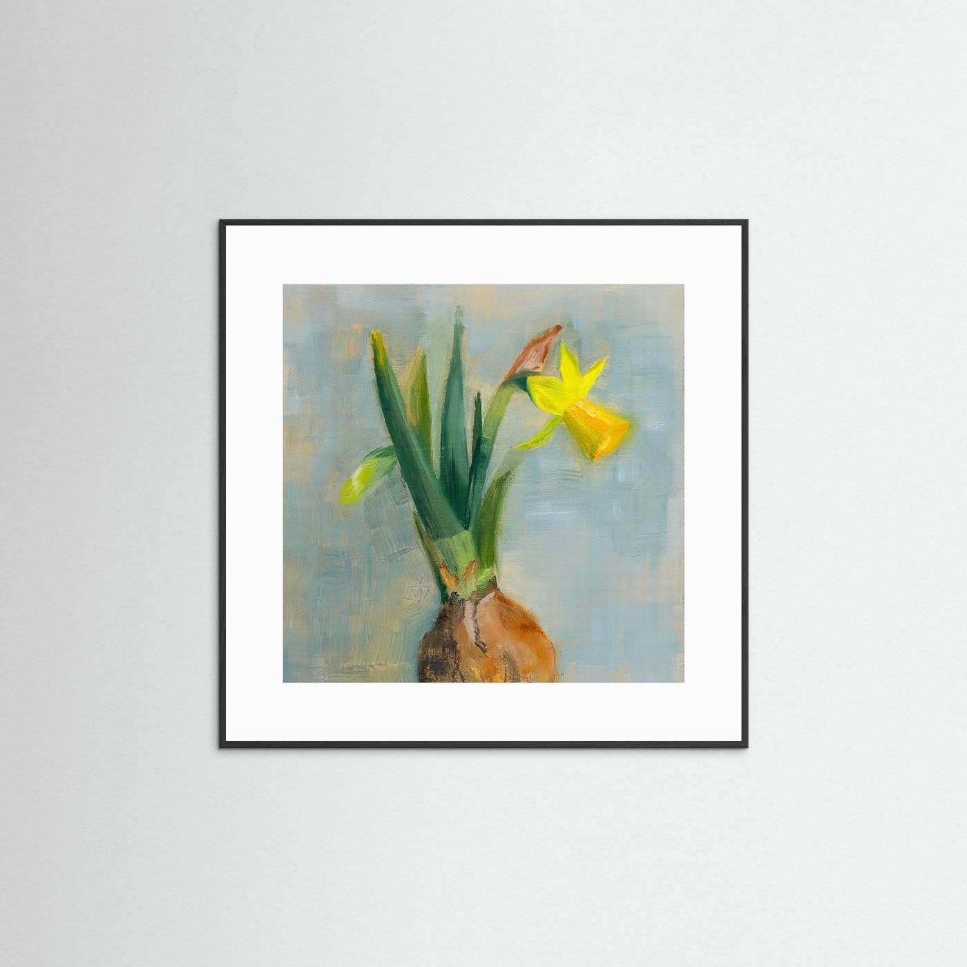 Flower painting wall art of a daffodil with bulb and roots on blue-grey background with black frame on white wall.
