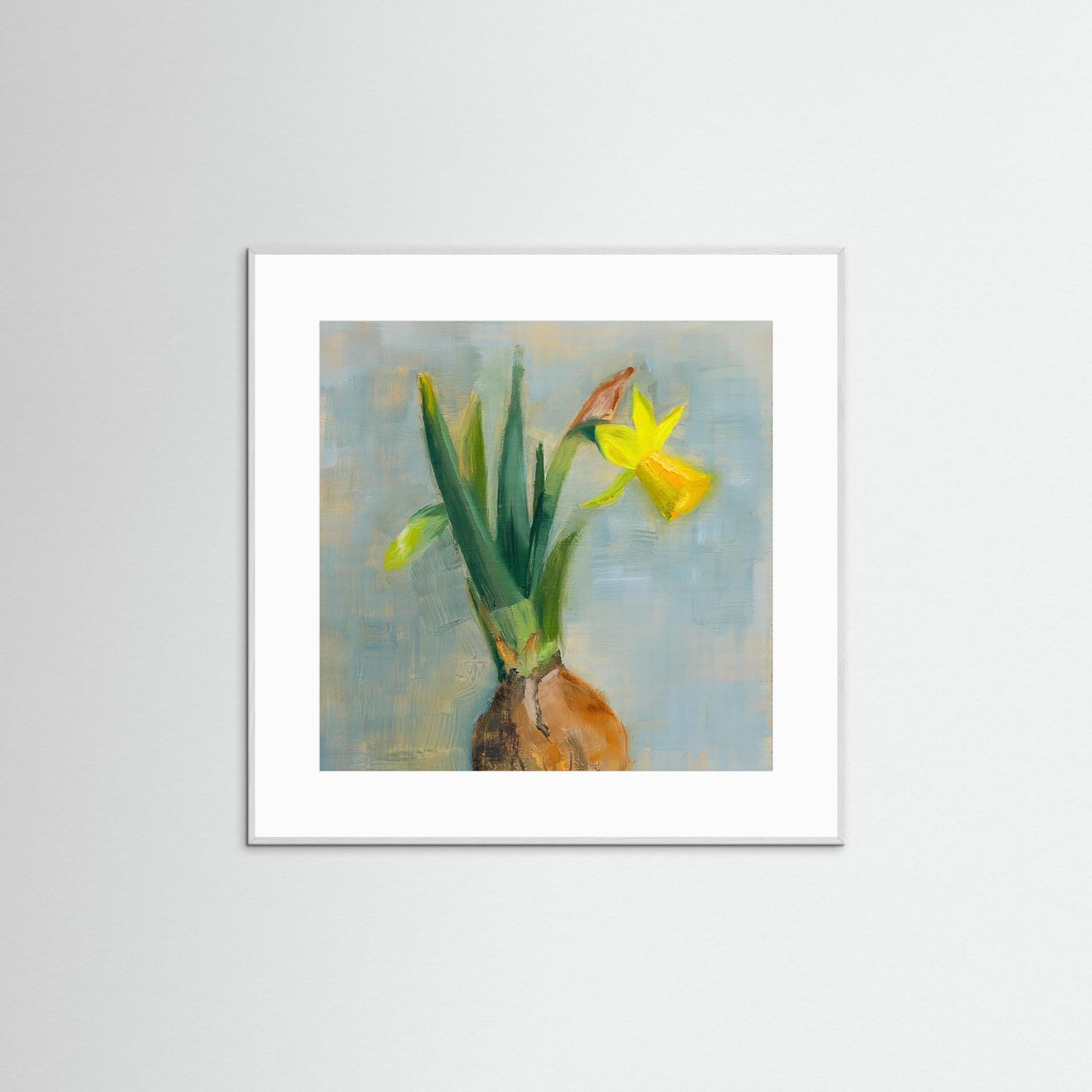 Cheerful spring painting with yellow mini daffodil bulb on blue gray background