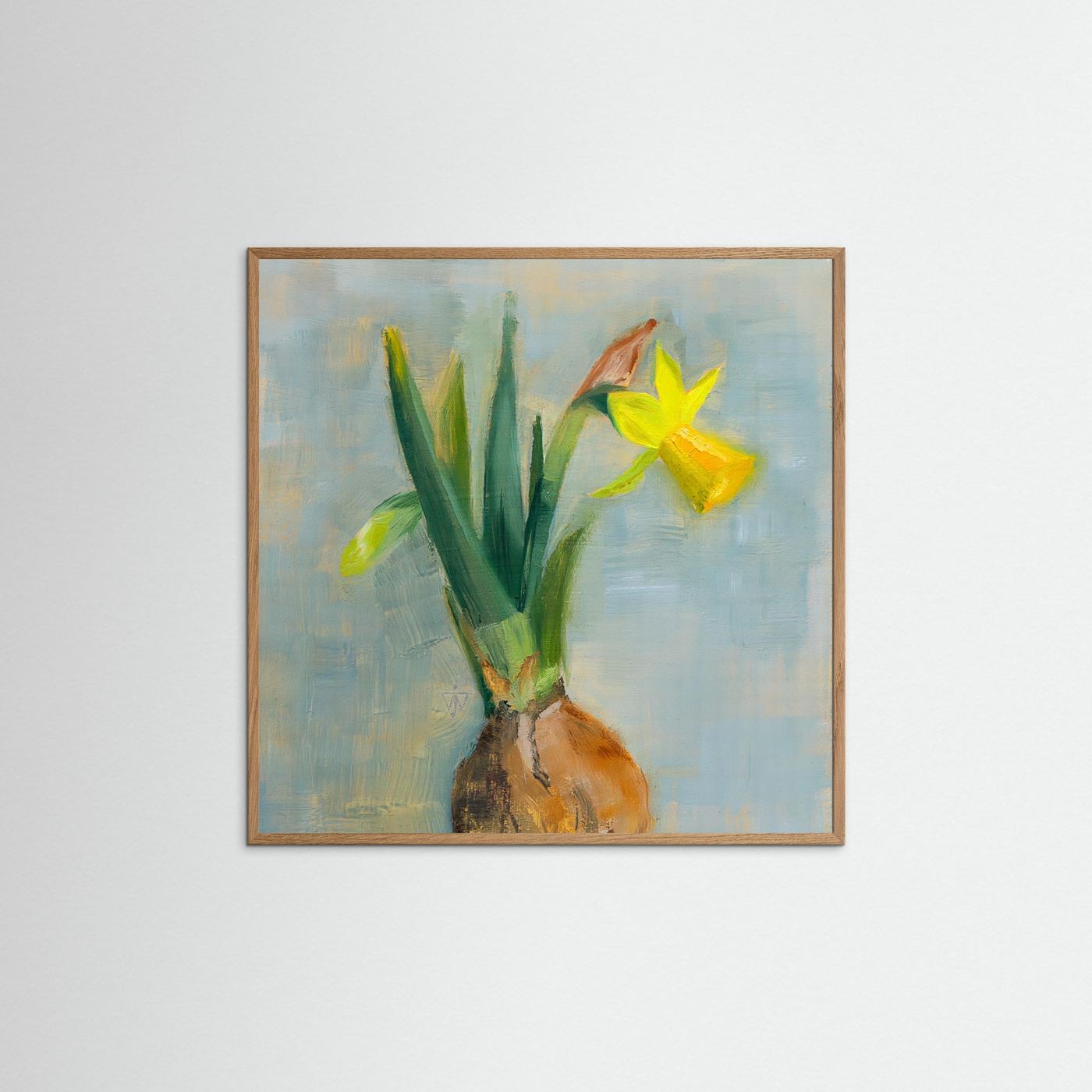 Flower painting wall art of a daffodil with bulb and roots on blue-grey background